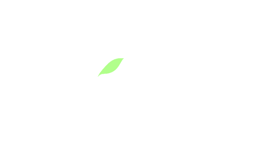 The Ireti Experience by AscendX